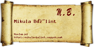 Mikula Bálint névjegykártya