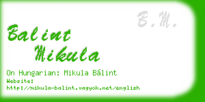 balint mikula business card