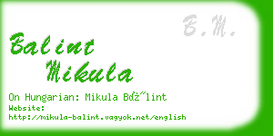 balint mikula business card